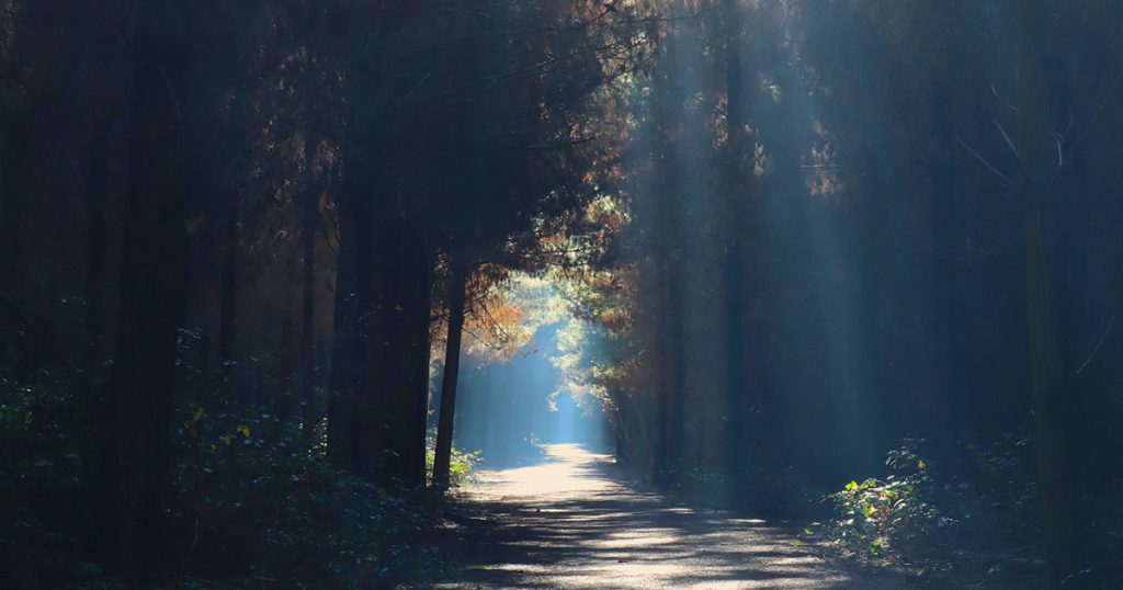 Exploring the Path of Initiation