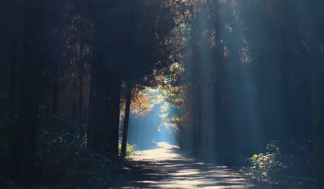 Exploring the Path of Initiation