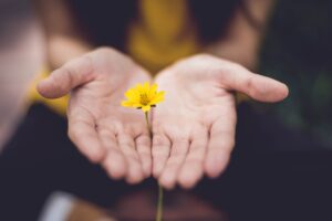 Yellow flower in hands.