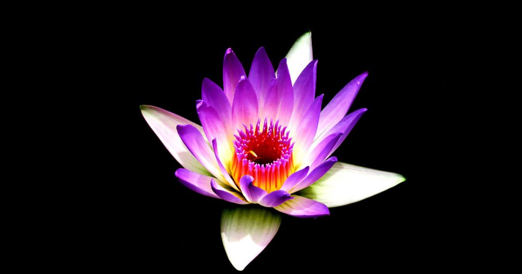 The Importance of Having a Life Activation and How It Can Positively Affect Your Life